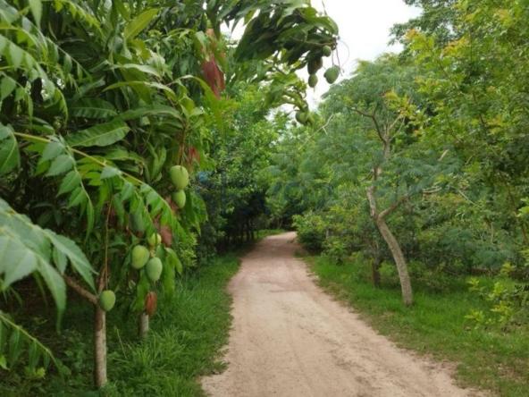 Casa de Condomínio à Venda em Valinhos